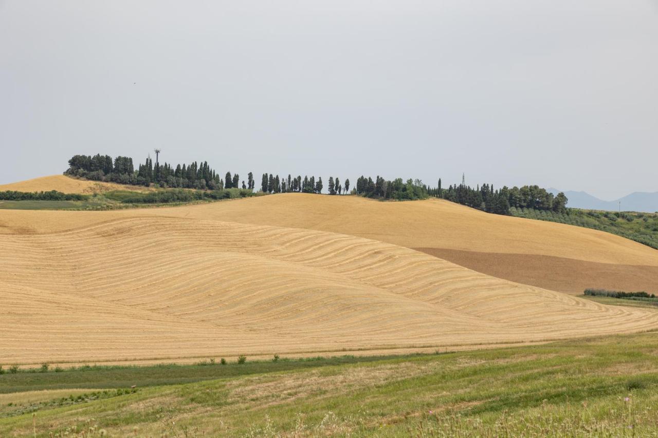 Agriturismo La Valle Della Lavanda - Podere Mezzastrada Fauglia Exteriör bild