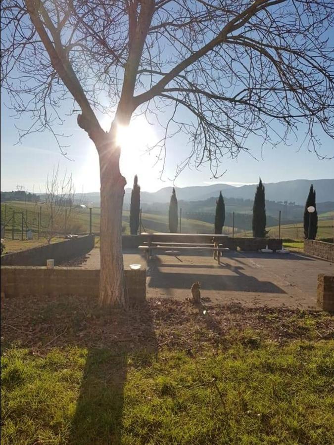 Agriturismo La Valle Della Lavanda - Podere Mezzastrada Fauglia Exteriör bild