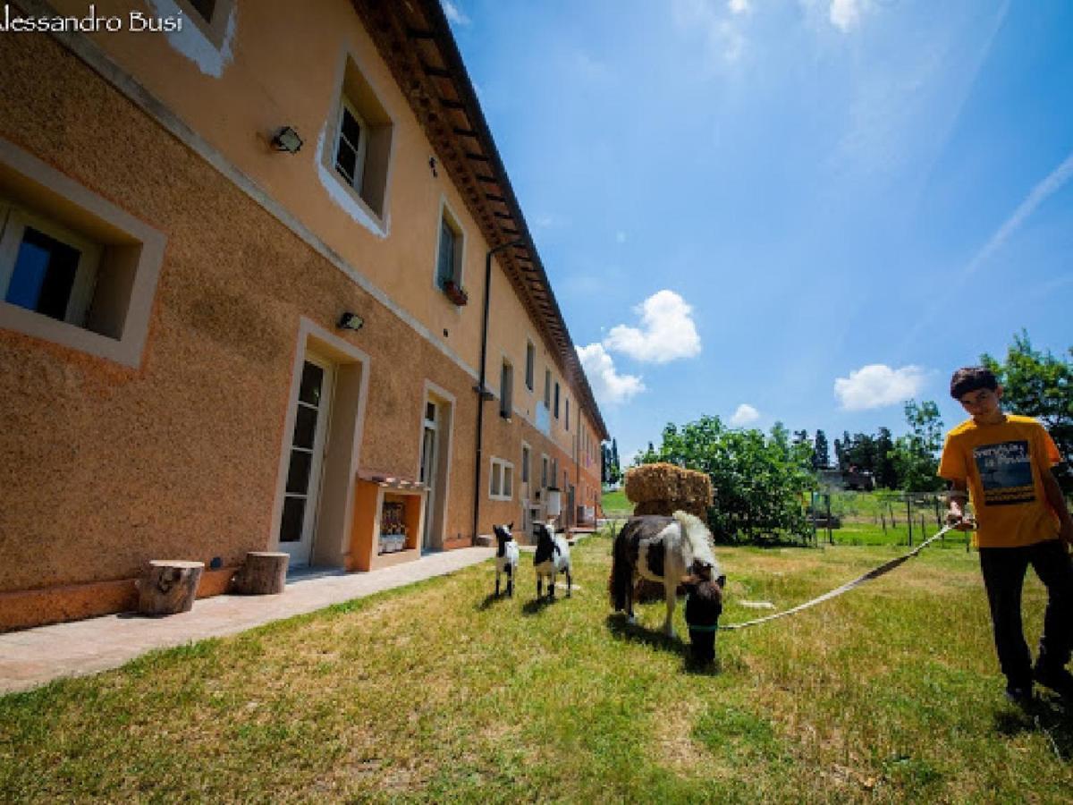 Agriturismo La Valle Della Lavanda - Podere Mezzastrada Fauglia Exteriör bild